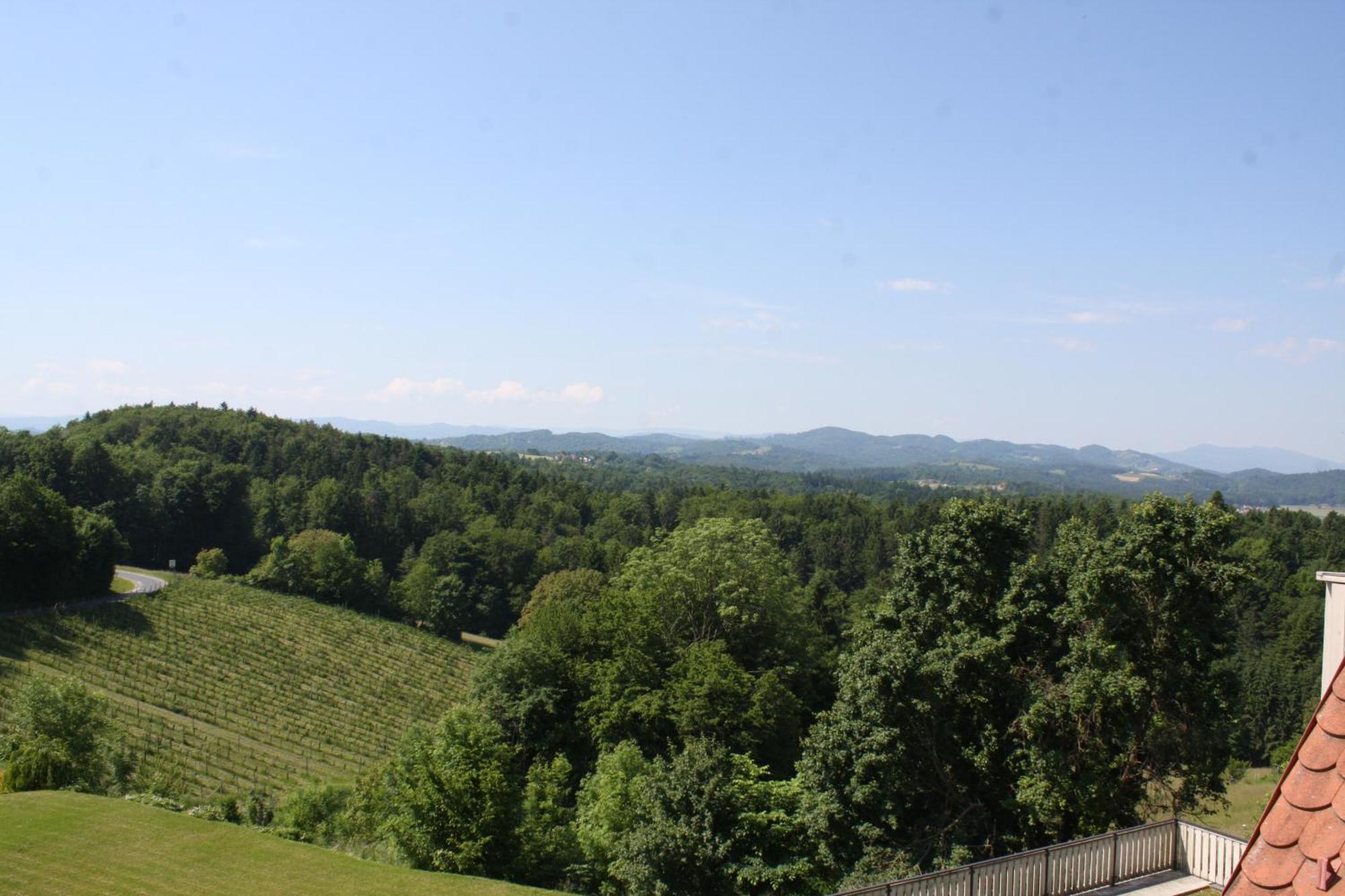 Hotel Garni Am Seggauberg ライプニッツ エクステリア 写真